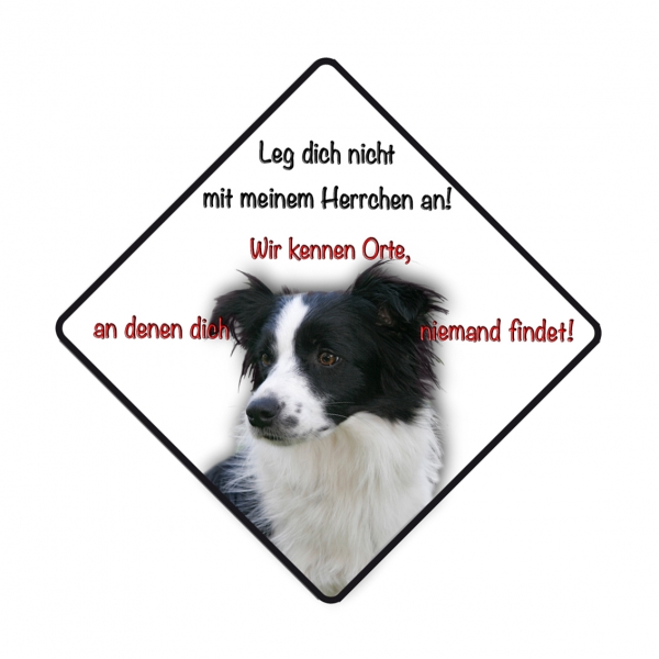 Aufkleber Border Collie 10x10